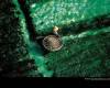 <b>Название: </b>allgraphic.org -Wallpapers from mufasa 192 96, <b>Добавил:<b> SURENCKO<br>Размеры: 1280x960, 444.8 Кб